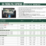 ĐA TRÒNG RODENSTOCK