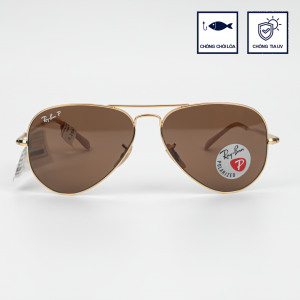 RAYBAN RB3689